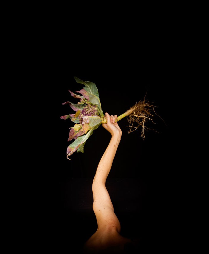 Alzar-puño-coliflor-Foto-Ana-Matey-2015